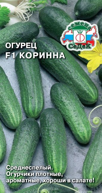 Огурец Коринна F1 выводим Седек