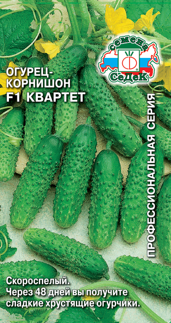 Огурец Квартет F1 Седек