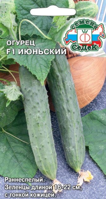 Огурец Июньский F1 0,2г Седек