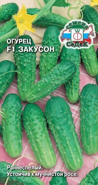 Огурец Закусон F1 з/г выводим Седек