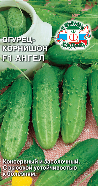 Огурец Ангел F1 0,3г Седек