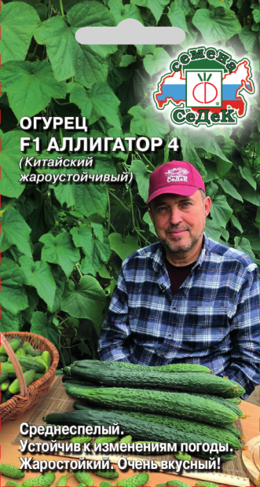 Огурец Аллигатор 4 F1 Седек