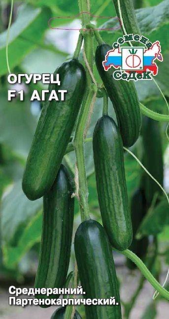 Огурец Агат F1 Седек