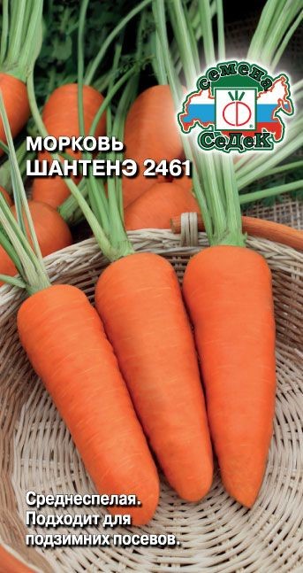Морковь Шантенэ 2461 2г Седек