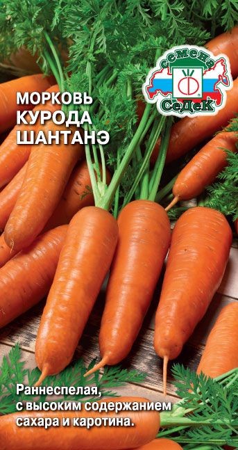 Морковь Курода Шантанэ Седек