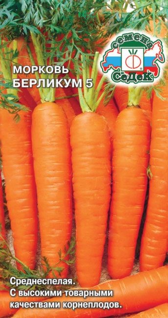 Морковь Берликум 5 Седек
