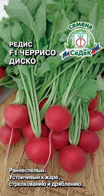 Редис Черрисо Диско F1 Седек