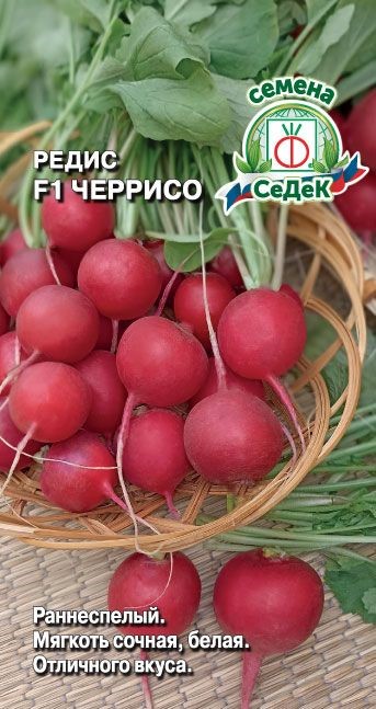 Редис Черрисо F1 Седек