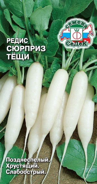 Редис Сюрприз Тещи Седек