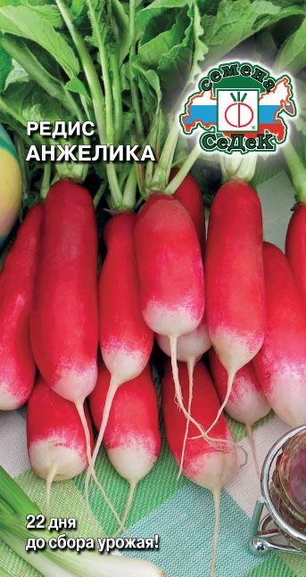 Редис Анжелика Седек
