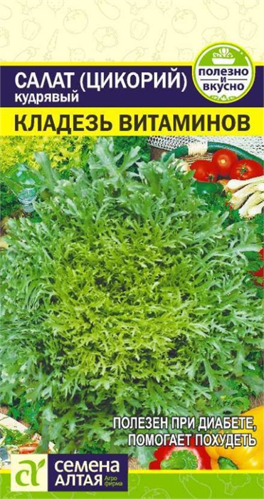 Салат Эндивий "Кладезь витаминов" 0,5гр. семена Алтая