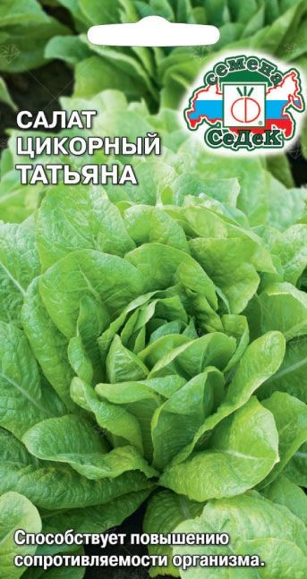 Салат Татьяна (цикорный) Седек