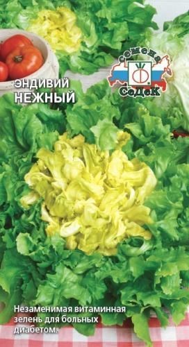 Салат Нежный (эндивий) Седек