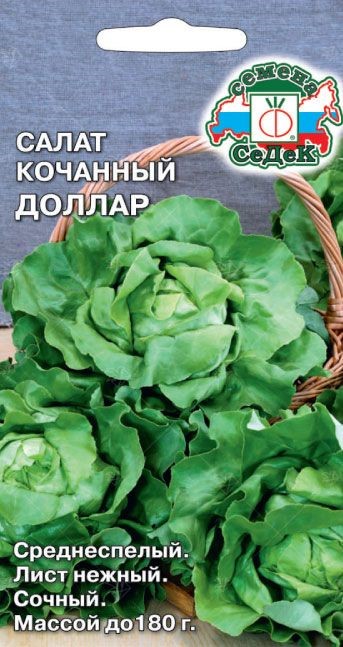 Салат Доллар (кочанный) Седек
