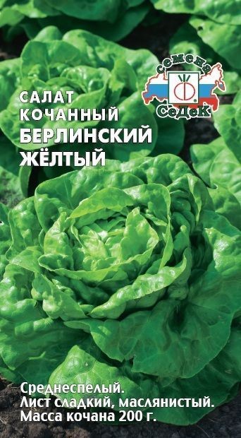 Салат Берлинский Желтый (кочанный) Седек