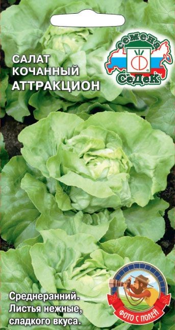 Салат Аттракцион (кочанный) Седек