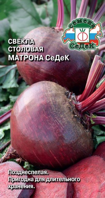 Свекла Матрона Седек 3г Седек 67180 - фото 29800