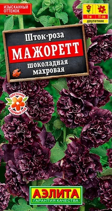 Шток-роза Мажоретт шоколадная(Аэлита)