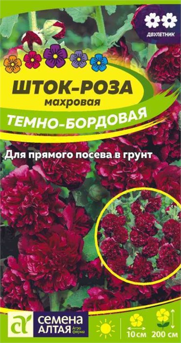 Цветы Шток-роза Темно-бордовая/Сем Алт/цп 0,1 гр