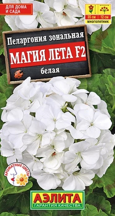 Пеларгония Магия лета белая 5 шт Аэлита