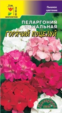 Пеларгония Горячий поцелуй ЦветСад Ц