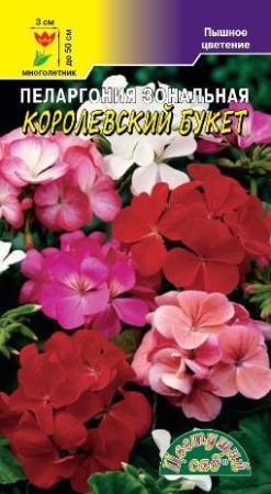 Пеларгония Королевский букет ЦветСад Ц