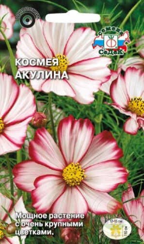 Космея Акулина 0,5гр Седек