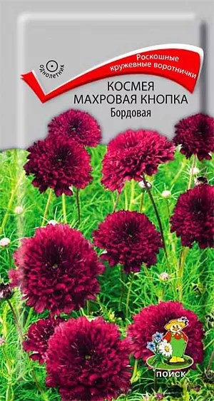 Космея Махровая кнопка бордовая 0,1гр Поиск