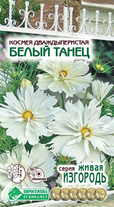 Космея Белый танец дваждыперистая(Евро Б)