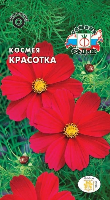 Космея Красотка 0,5гр Седек