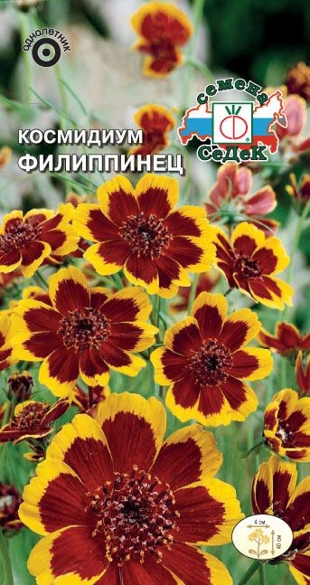 Космидиум Филиппинец Седек