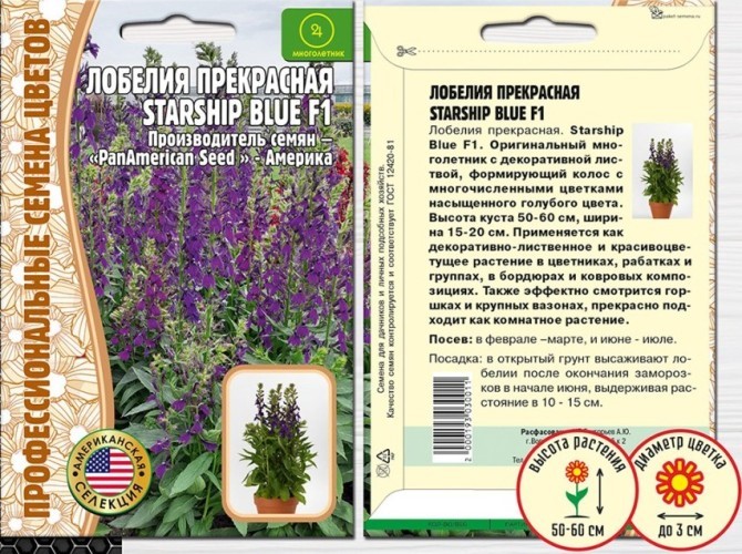 Лобелия Старшип Блю прекрасная 3шт Григорьев