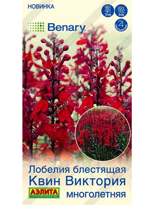 Лобелия Квин Виктория многолетняя 7шт Аэлита