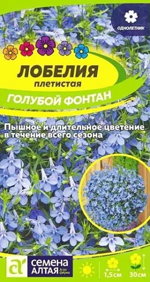Лобелия Голубой Фонтан плетистая (Семена Алтая)
