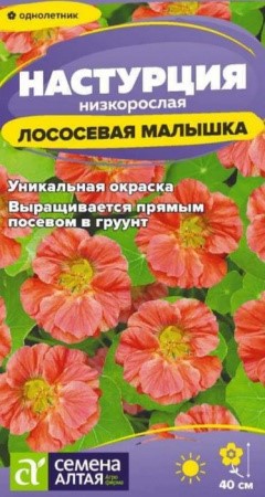Цветы Настурция Лососевая малышка низкоросл./Сем Алт/цп 0,5 гр
