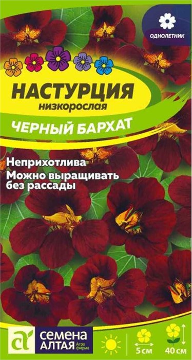 Настурция Черный бархат 0,5-1гр СА