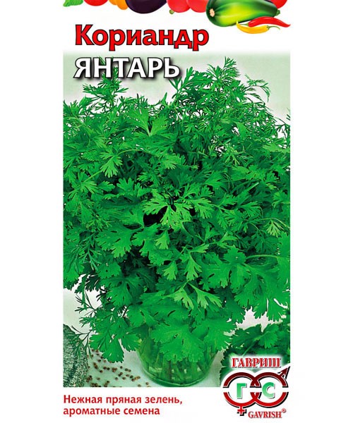 Кориандр "Янтарь" 2гр Гавриш