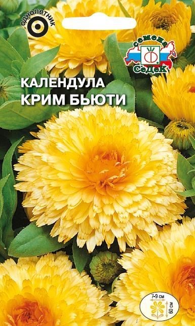 Календула Крим Бьюти (кремовая) Седек