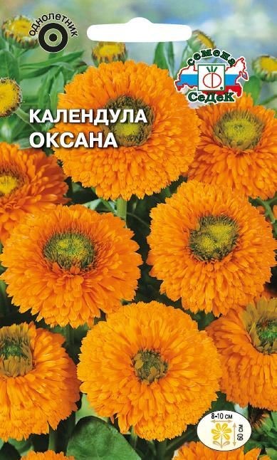 Календула Оксана (оранжевая с зеленым центром) Седек