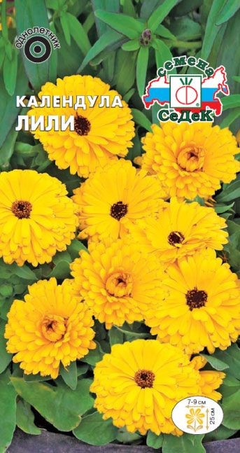 Календула Лили Седек