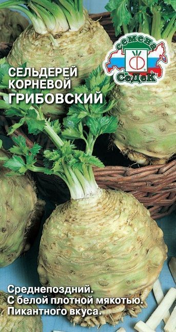 Сельдерей Грибовский (корневой) Седек