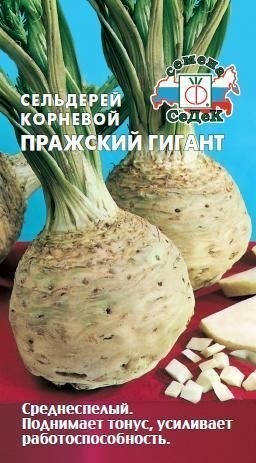 Сельдерей Пражский гигант (корневой) Седек