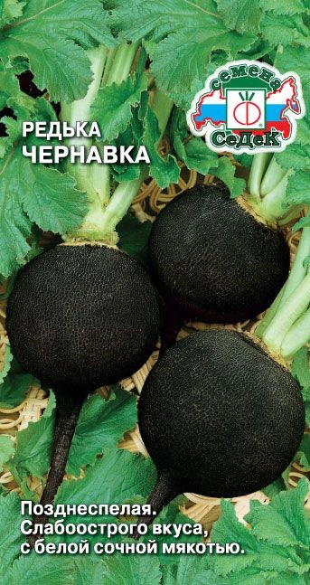 Редька Чернавка Седек