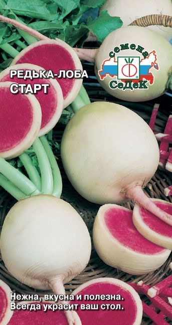 Редька Старт (лобо) Седек