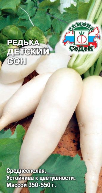 Редька Детский Сон Седек