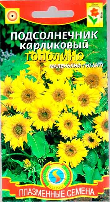 Подсолнечник карликовый Тополино 8шт Плазма