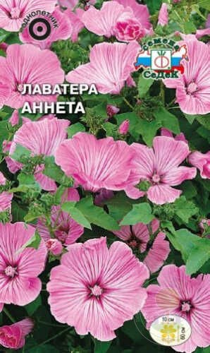 Лаватера Аннета 0,5г Седек