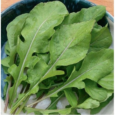 Рукола Полиглот культурная 0,5гр Greenomica/Садовита Ц