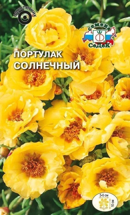 Портулак Солнечный (крупноцветковый, махровый, ярко-желтый) Седек