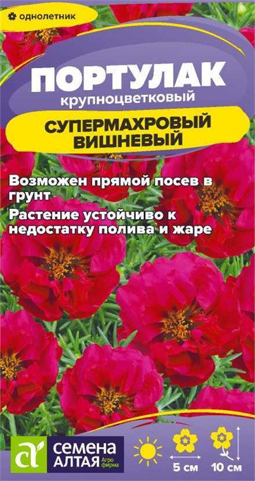 Цветы Портулак Супермахровый Вишневый